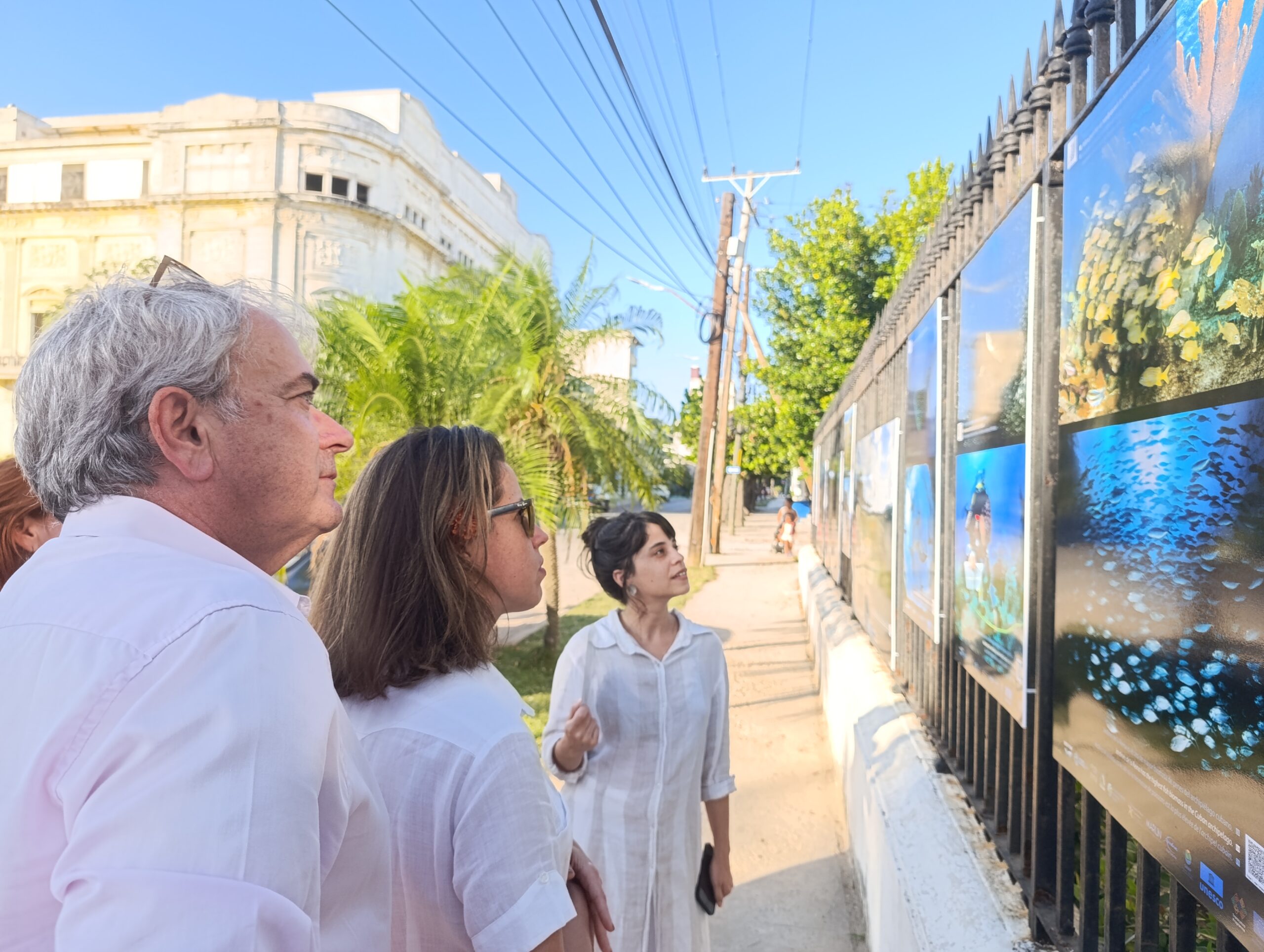 #Shooting_Green: Un diálogo visual por la resiliencia climática en el corazón de La Habana