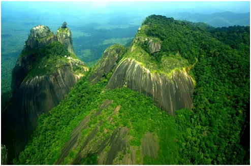Especial TTC: Surinam, un paraíso de la naturaleza y la historia