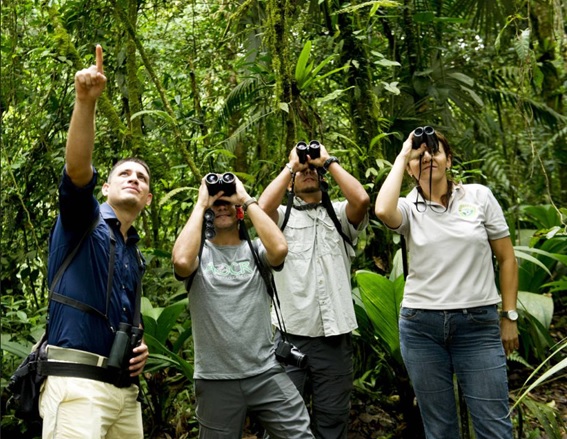 Especial TTC: Observación de aves y naturaleza, la biodiversidad como motor turístico