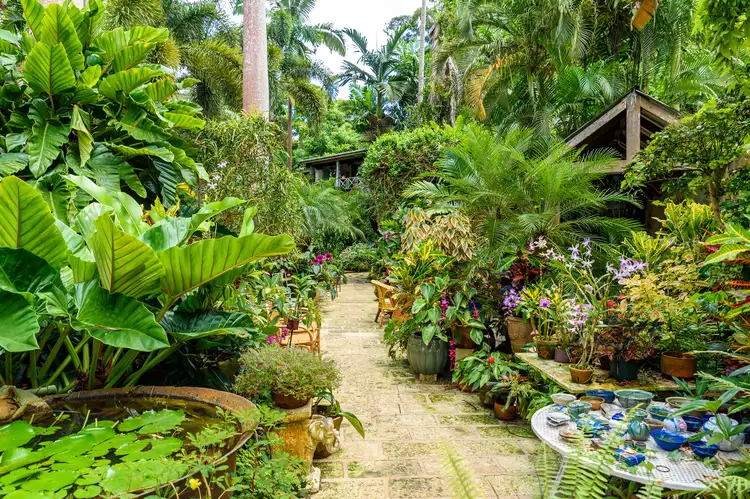 These are the 10 Best Attractions in the Caribbean