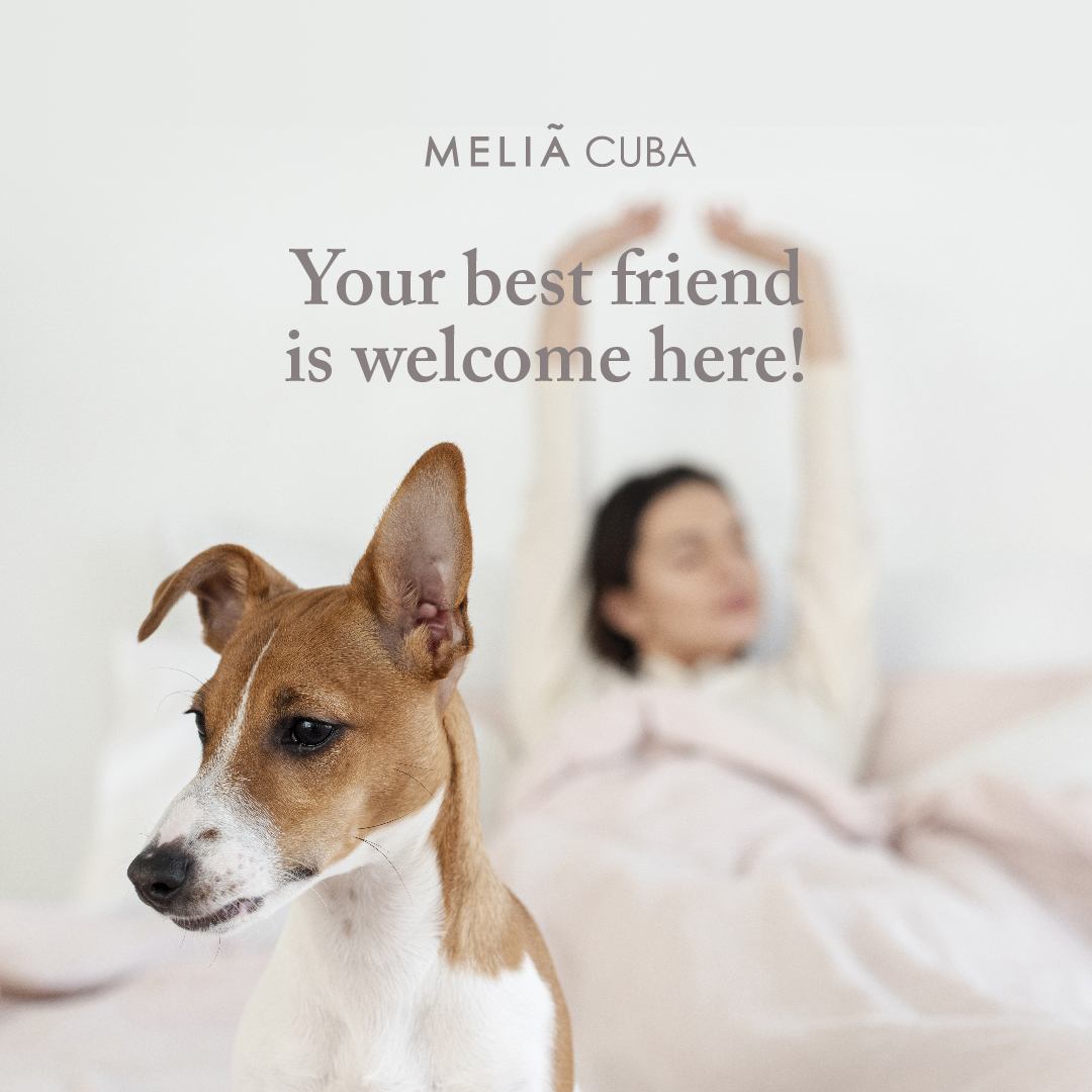 Meliá Hotels International brings Pet Friendly services to Cuba