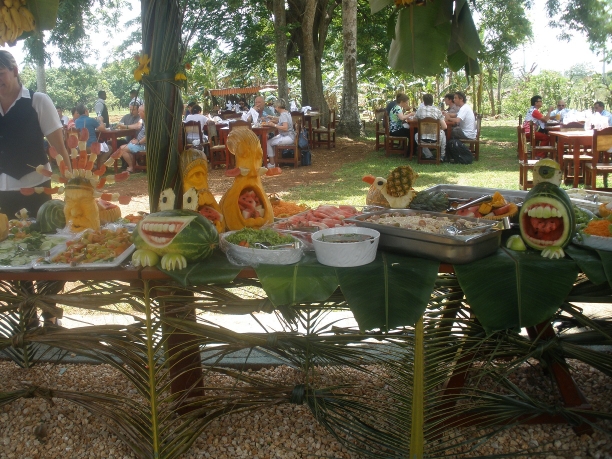 Encuentro virtual sobre cocina cubana