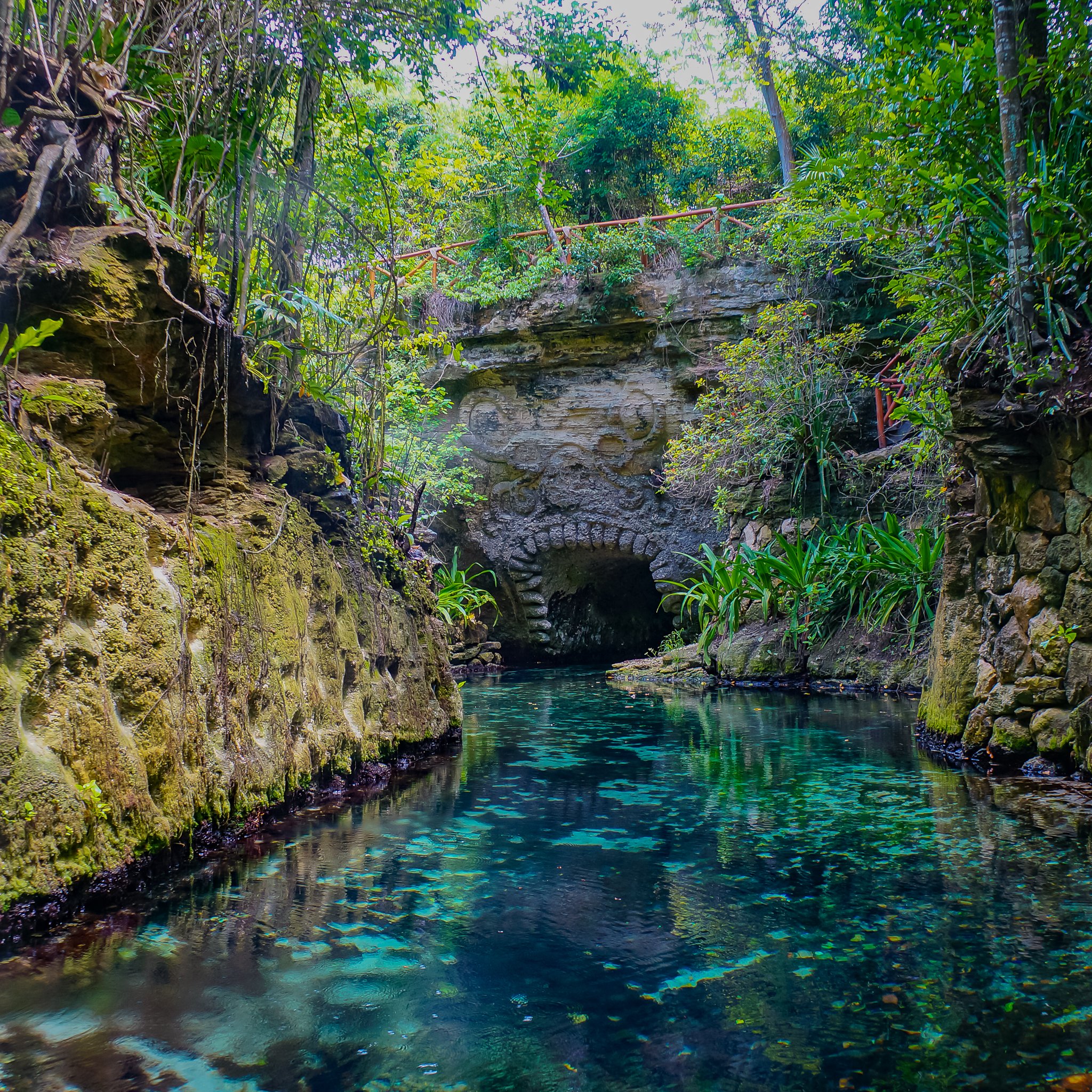 Grupo Xcaret prevé nuevos proyectos e innovaciones en sus parques