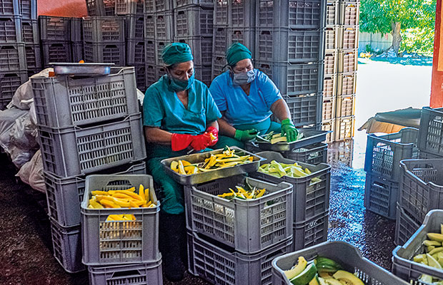Forsan, en Santiago de Cuba, apuesta por la sustitución de importaciones