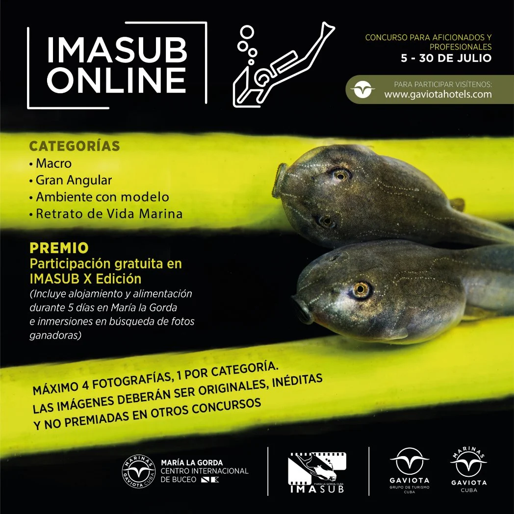 Grupo Gaviota convoca a evento digital de Fotografía submarinna Imasub 2021