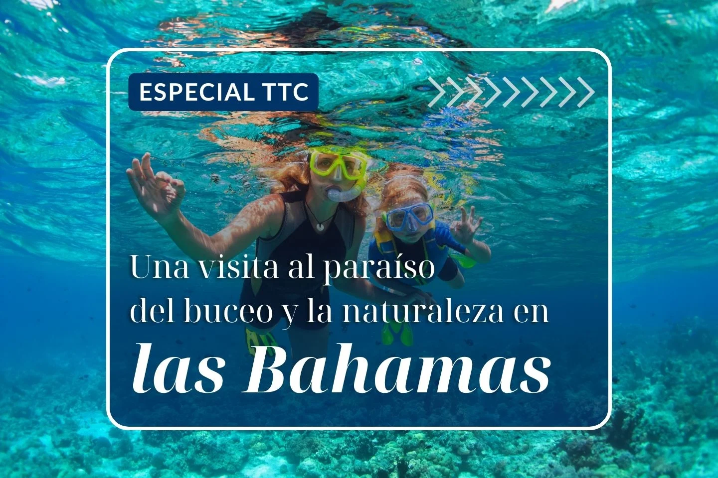 Especial TTC: Una visita al paraíso del buceo y la naturaleza en las Bahamas
