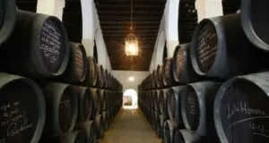 Bodegas Tío Pepe, uno de los mejores destinos enoturísticos del mundo