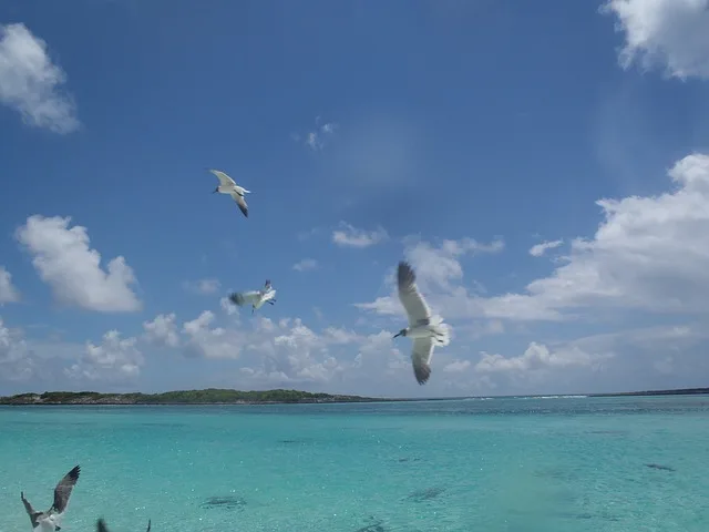 Costa Rica fortalece protección ambiental de Isla del Coco