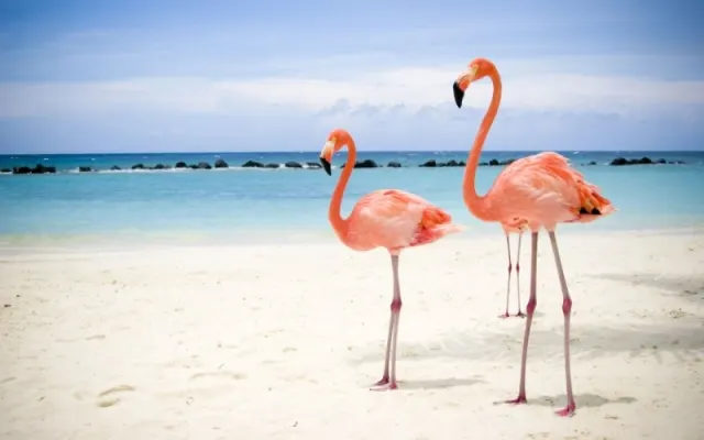 Es Oficial: Provincia cubana de Camagüey mira hacia temporada alta del turismo