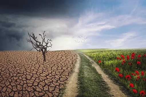 Million Funding From Canada To Address Climate Crisis