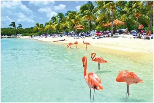 Especial TTC: El turismo internacional en el Caribe, primera mitad de 2024