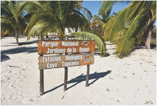 Especial TTC: Parque Nacional Jardines de la Reina, un destino de naturaleza en el mar Caribe