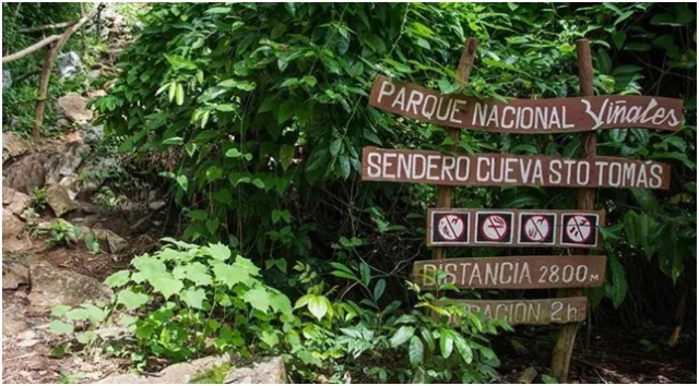 Especial TTC: Una incursión a Viñales, la Gran Caverna de Santo Tomás