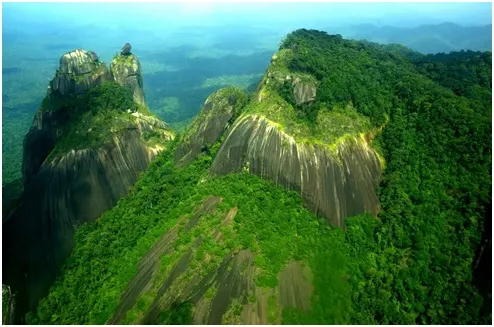 Especial TTC: Surinam, un paraíso de la naturaleza y la historia