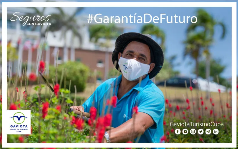 Punto de Vista: Gaviota por la responsabilidad medio ambiental