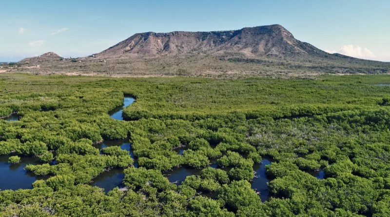 Parque Nacional Estero Balsa en República Dominicana, un verdadero tesoro de la naturaleza