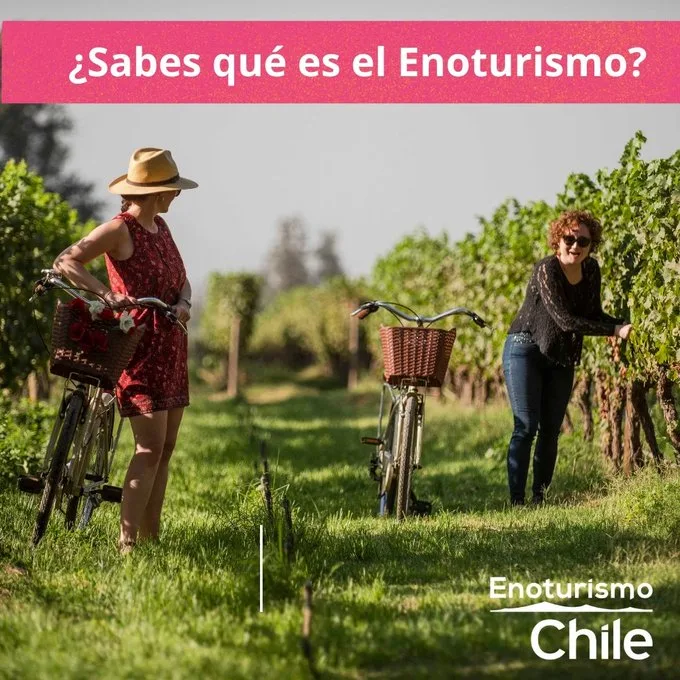 Convocan a Premios Enoturismo Chile 2022