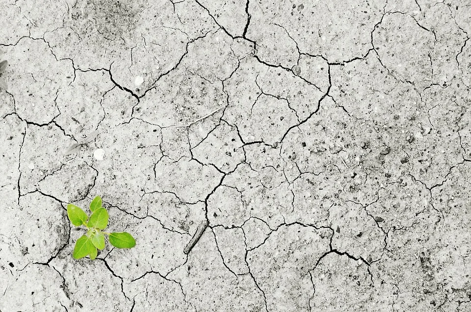 Climate Change Stirs Integrated Housing Revolution In Dominica