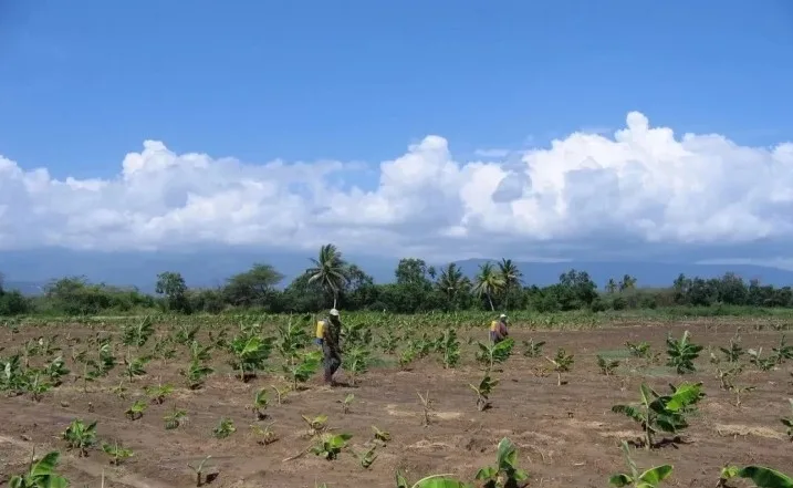 FAO’s agricultural support for tourism growth in Pedernales