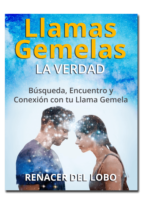 que son las llamas gemelas