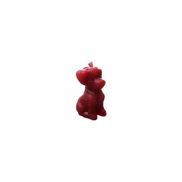 Cachorrinho