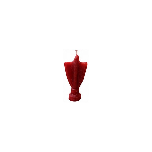 Sexo Feminino