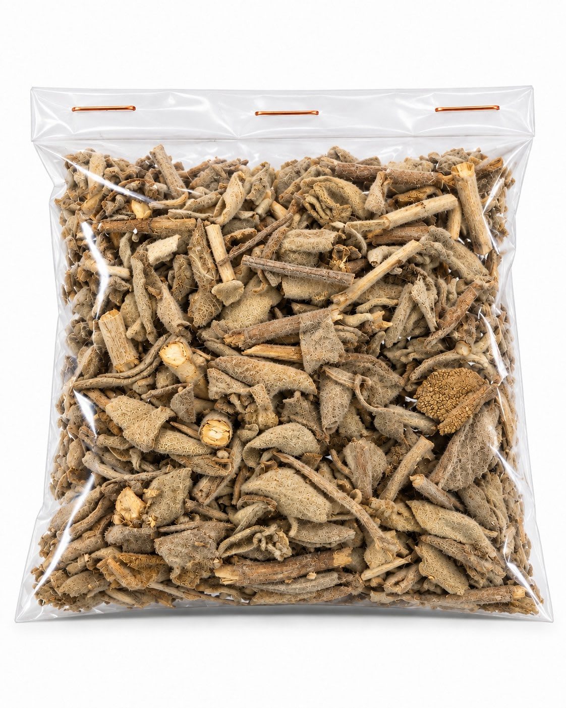 Salvia