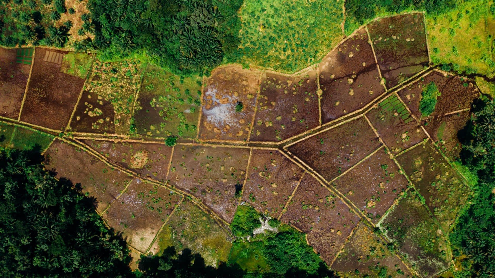 Residential Plot in Manjalpur
