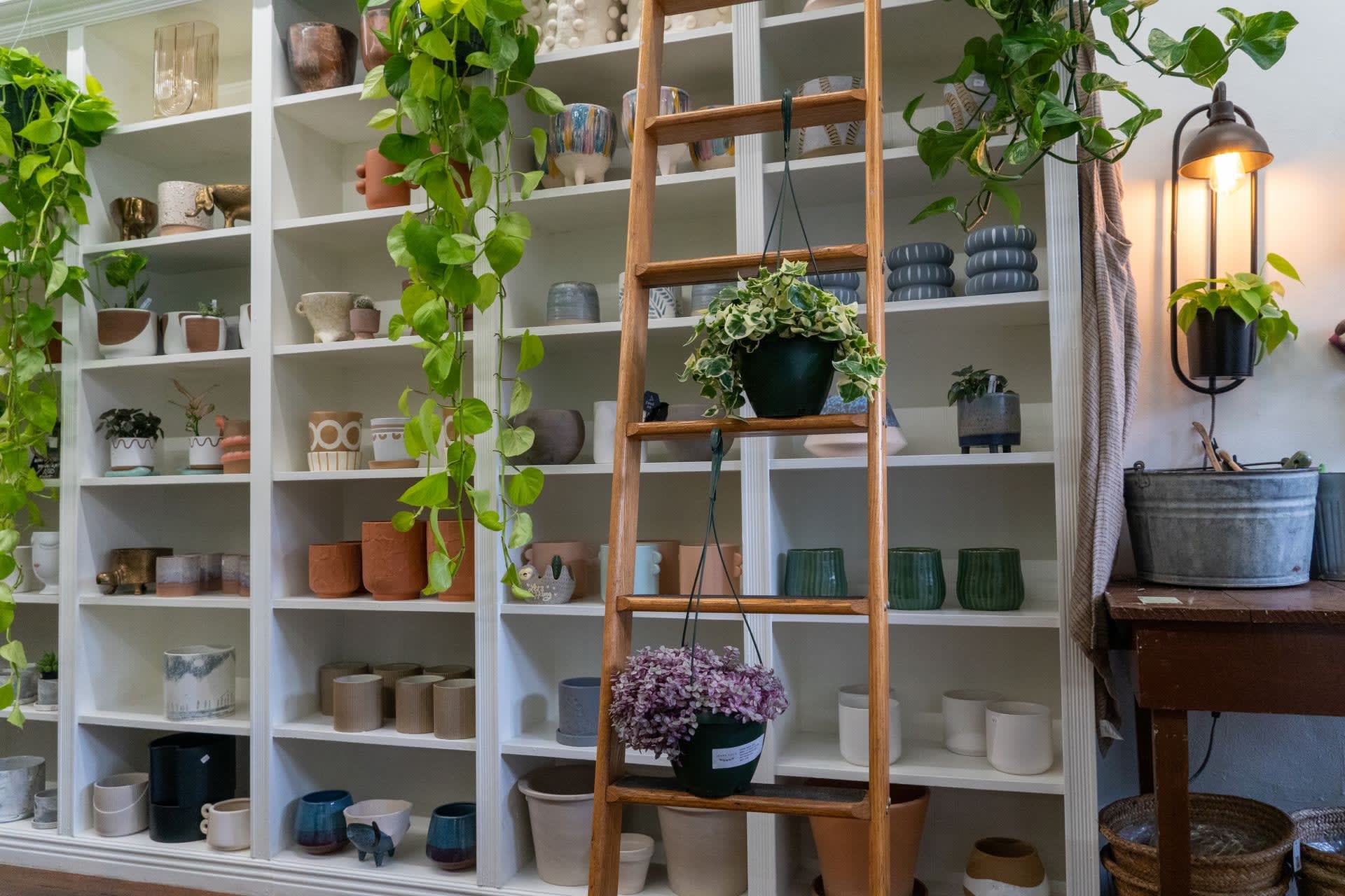 Shop in Vesu