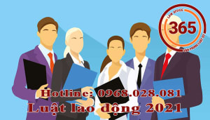 Tư vấn luật nhân sự