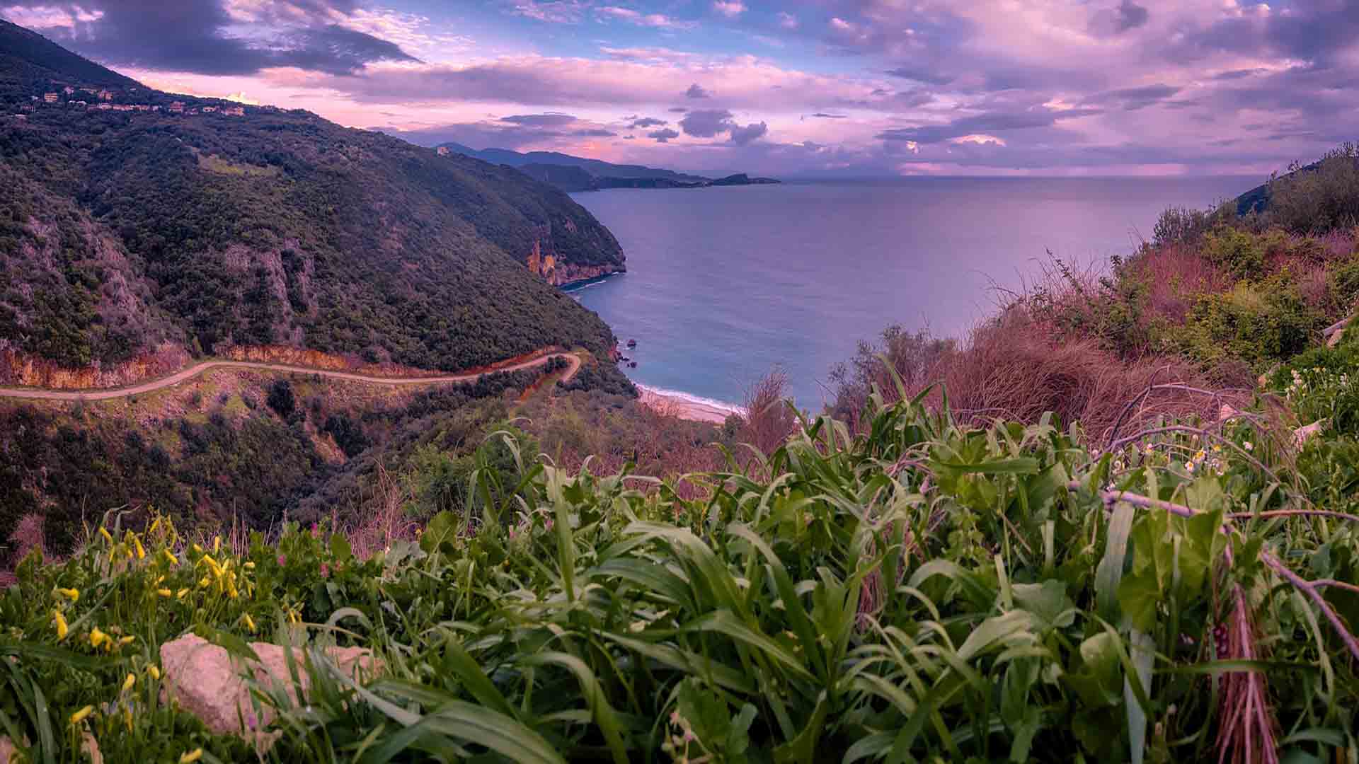 Peninsula