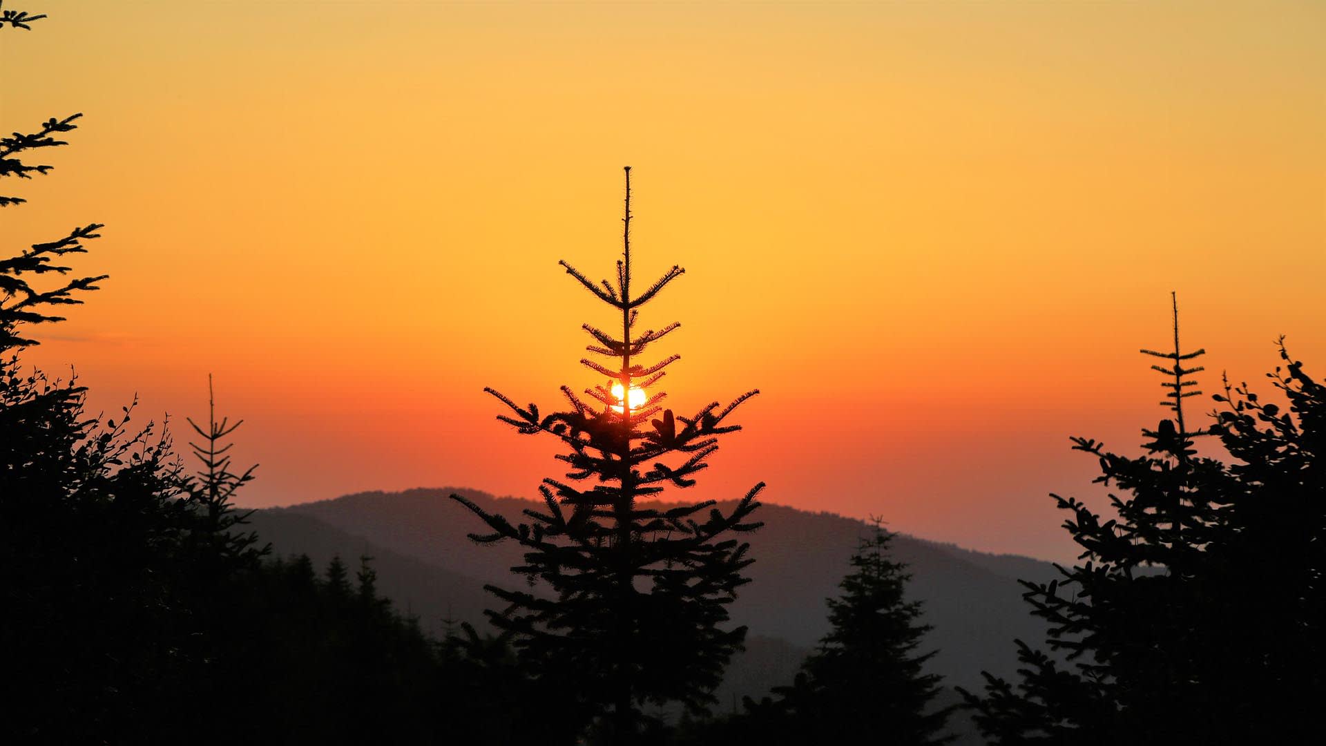 Bolu Turkey