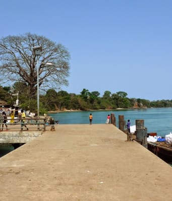 Gine Bissau Gezi Rehberi Turna Blog