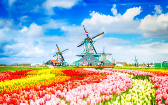 Amsterdam Çevresinde Gezilecek Yerler ve Kasabalar