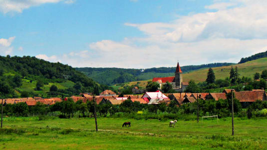 Cluj Napoca