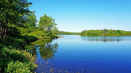 Halifax
