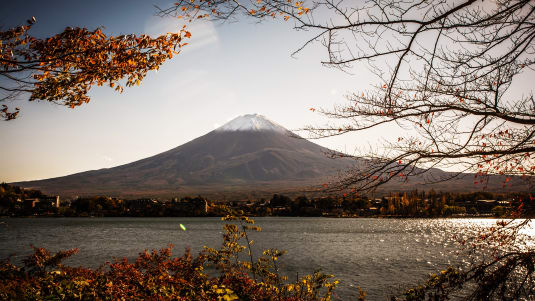 Japonya