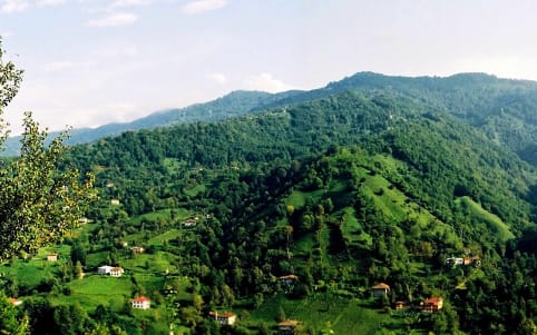 Artvin