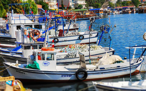 Sinop