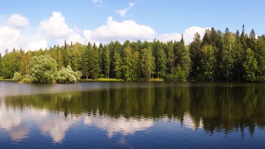 Finlandiya