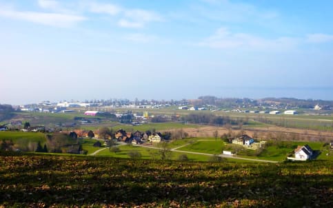 Altenrhein