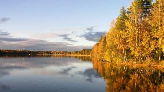 Umea