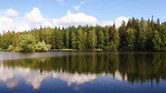 Finlandiya