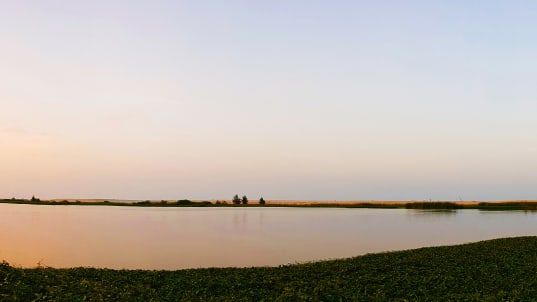 Nijerya