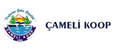 Çameli Koop