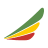 Ethiopian Airlines