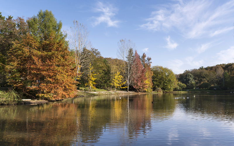 Istanbul Un Huzur Veren Kosesi Ataturk Arboretumu Turna Com