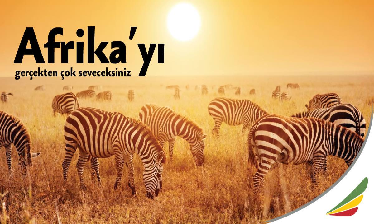 Etiyopya Hava Yolları'ndan Turna.com'a Özel %10 Öğrenci İndirimi!
