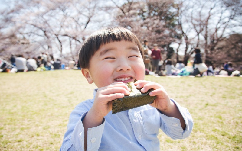 En Güzel Japonya Yemekleri