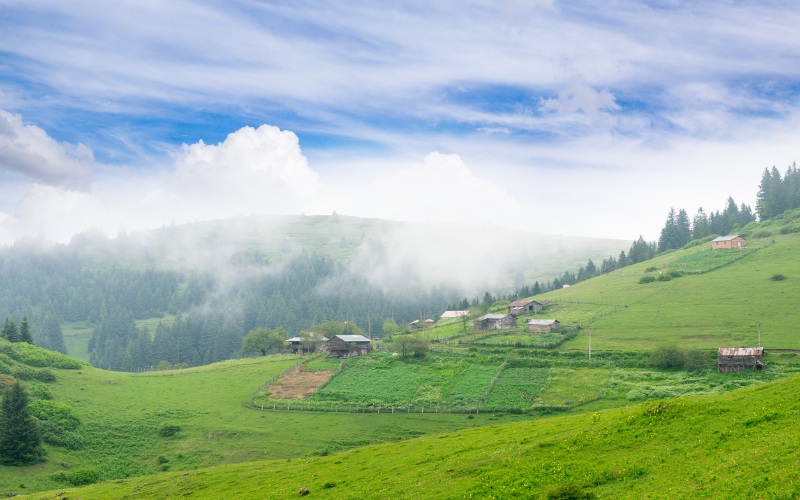 Giresun Yaylaları